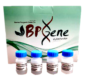 NON-FILTER PLASMID DNA EXTRACTION KIT کیت استخراج پلاسمید(روش غیرستونی) 1 Plasmid NC DNA